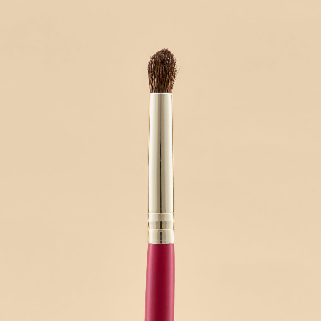 KIT DE BROCHAS SCARLET OJOS X21 PCS