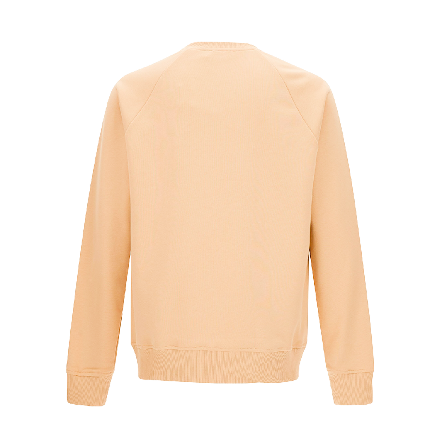 Buzo Beige Balmain Flock