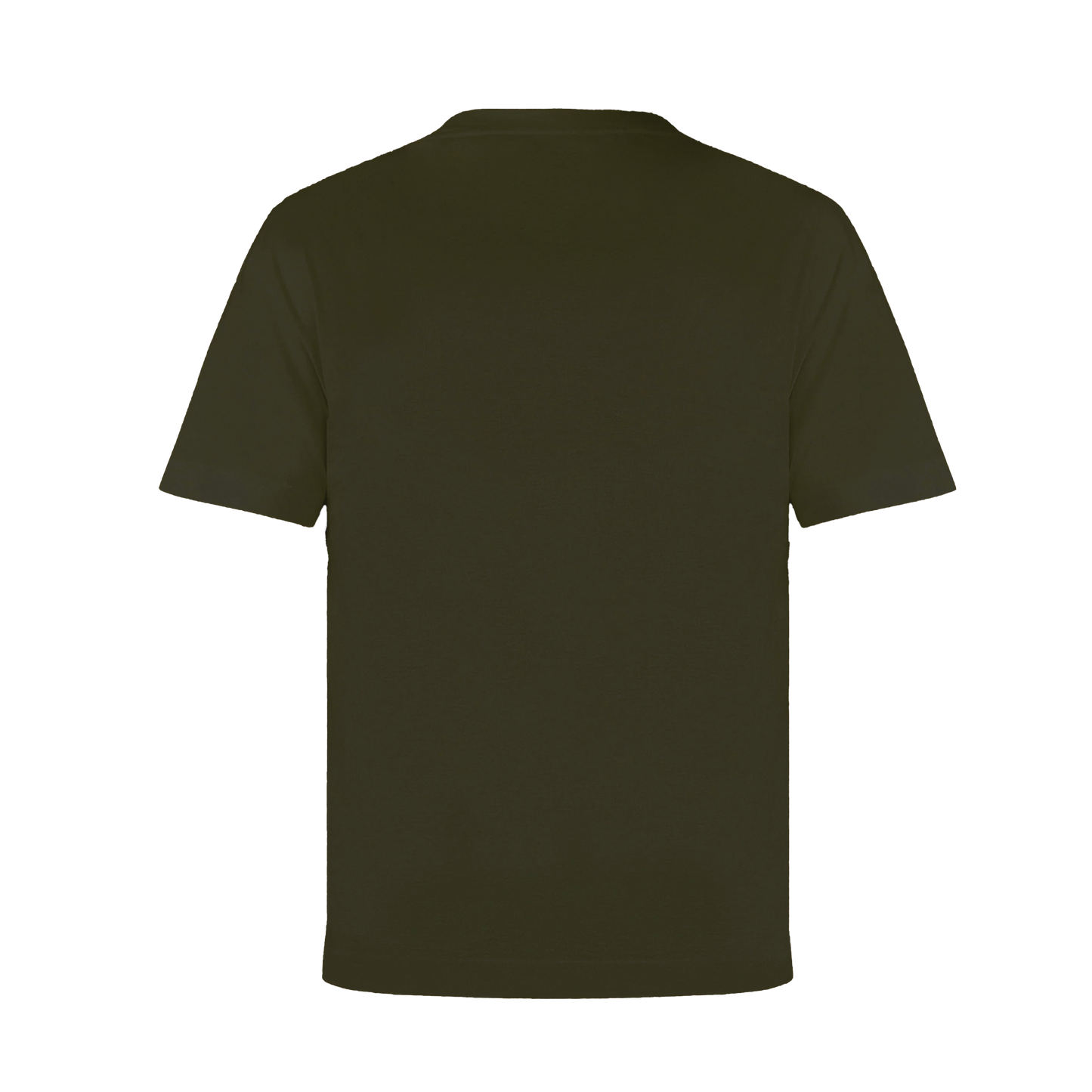 Camiseta Verde Dsquared2 Basic Plaque