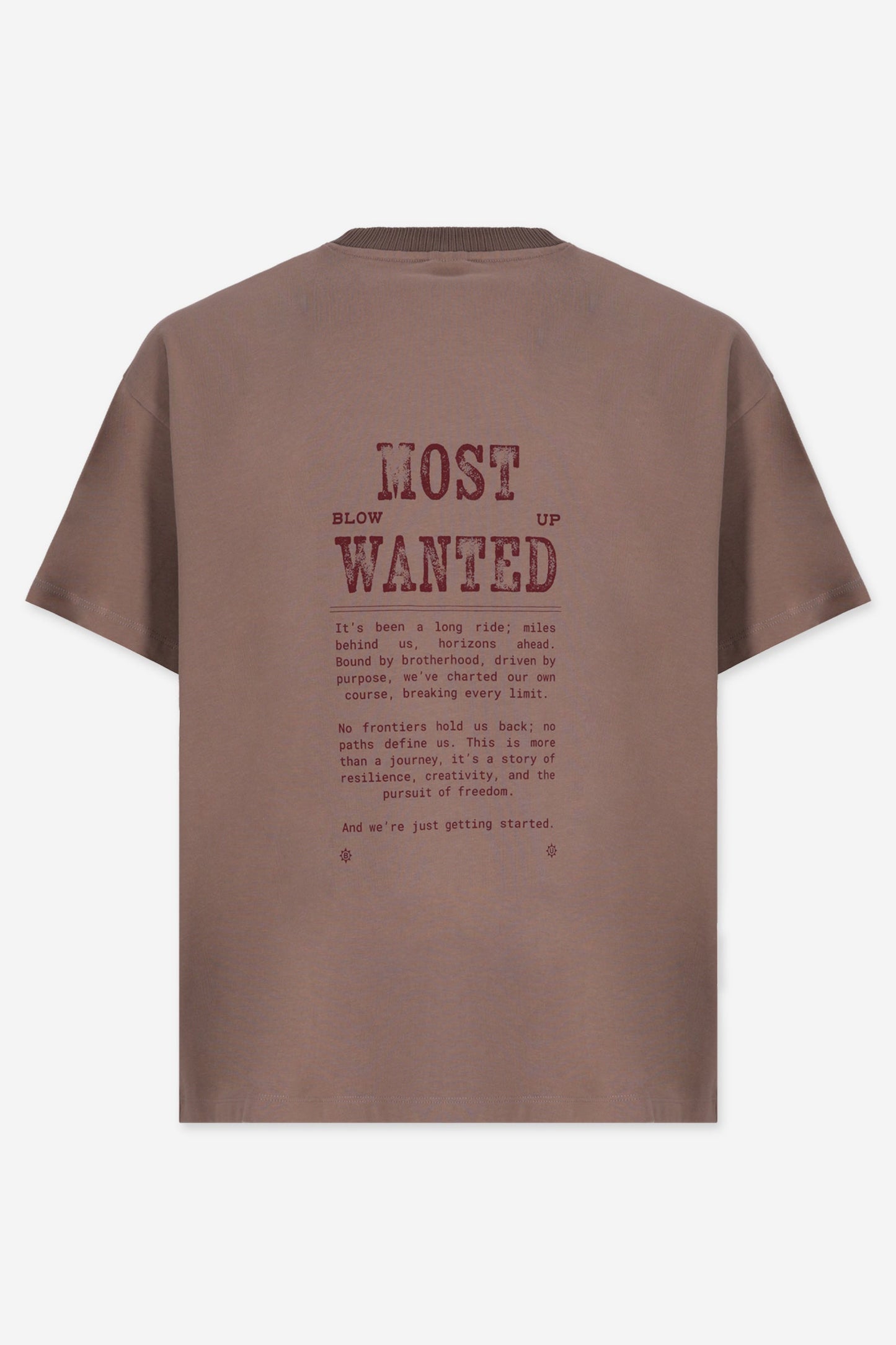 MOST WANTED REGULAR FIT CAMEL T-SHIRT